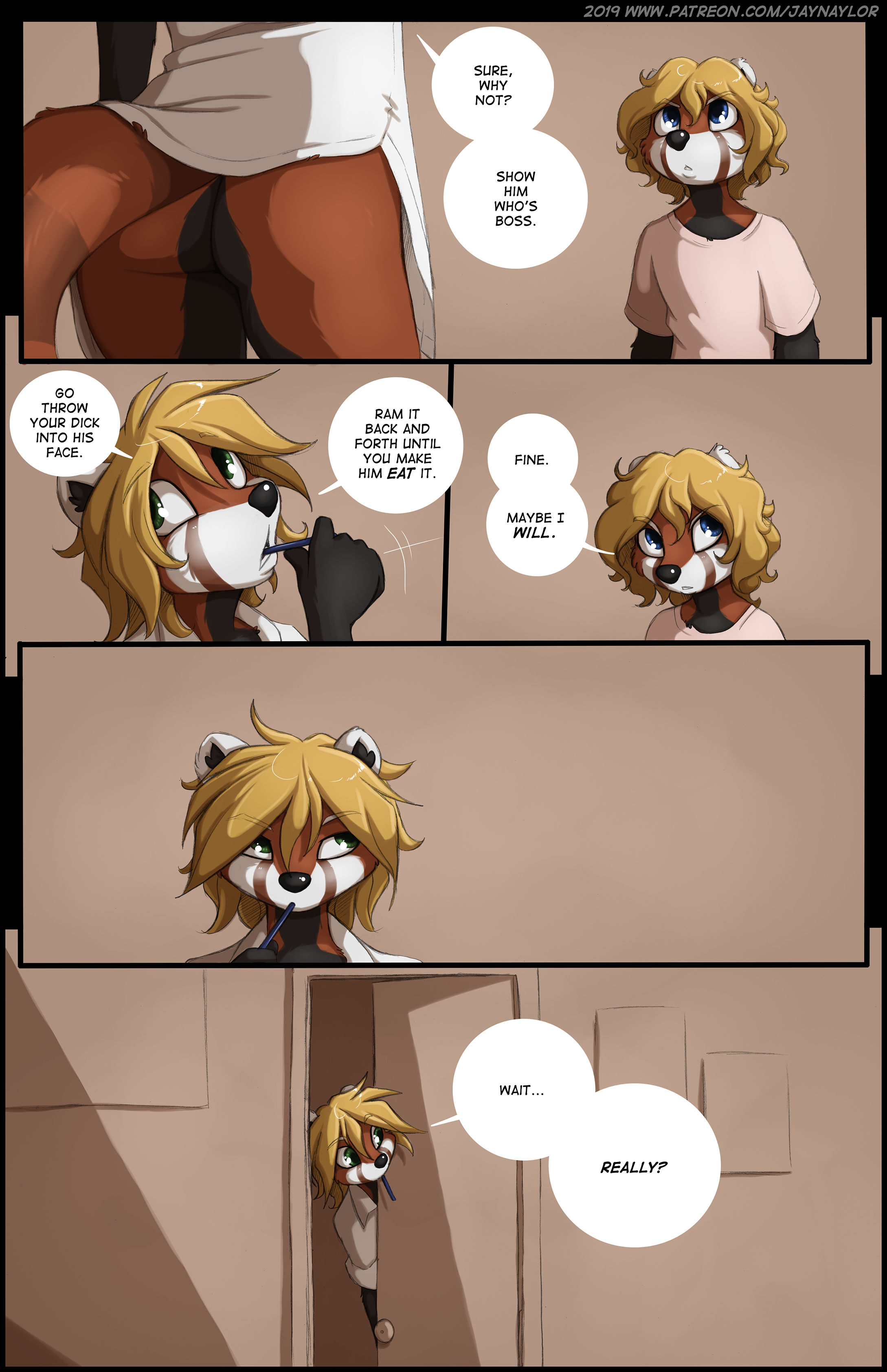 switches02.jpg