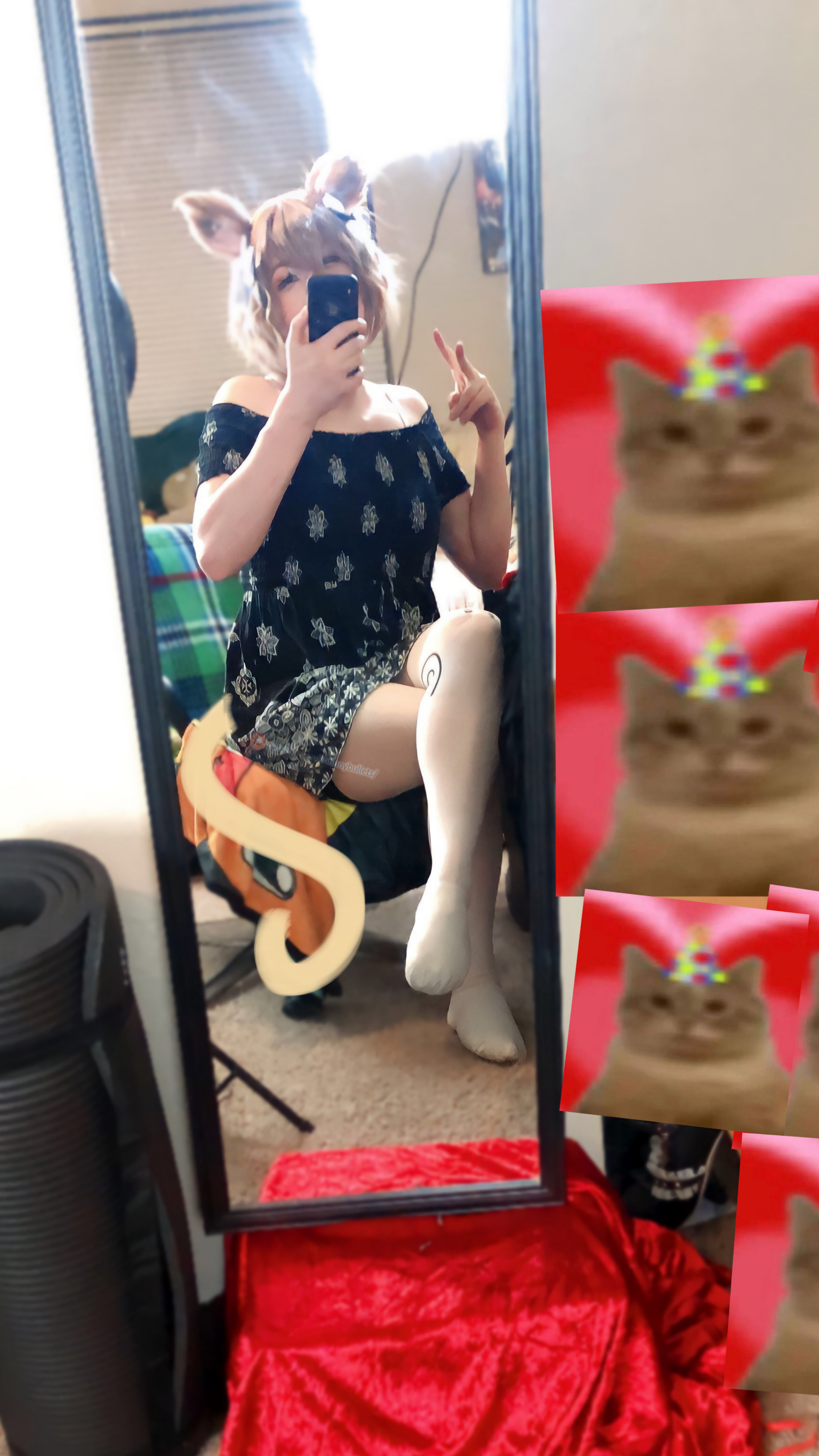 1_Cat_with_reverb_.png