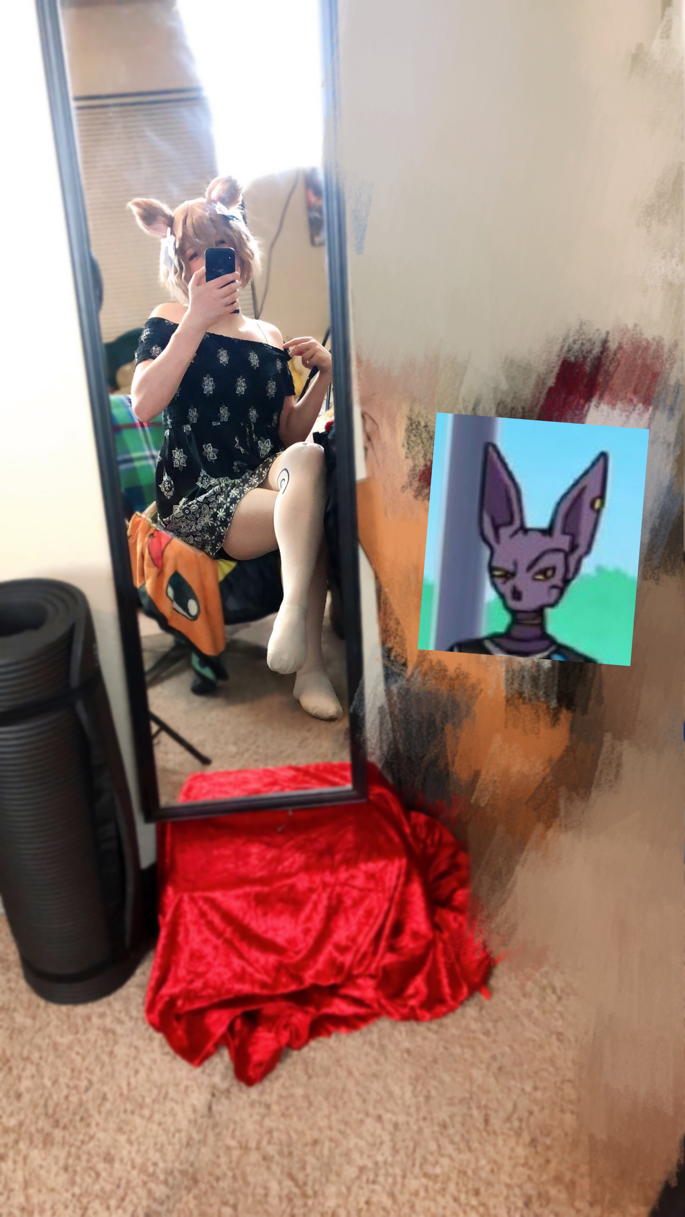 Proofthere_sAnothercatintheMirror__CatNextDoor_SetB_/alternates
